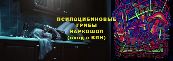 прущая мука Арсеньев